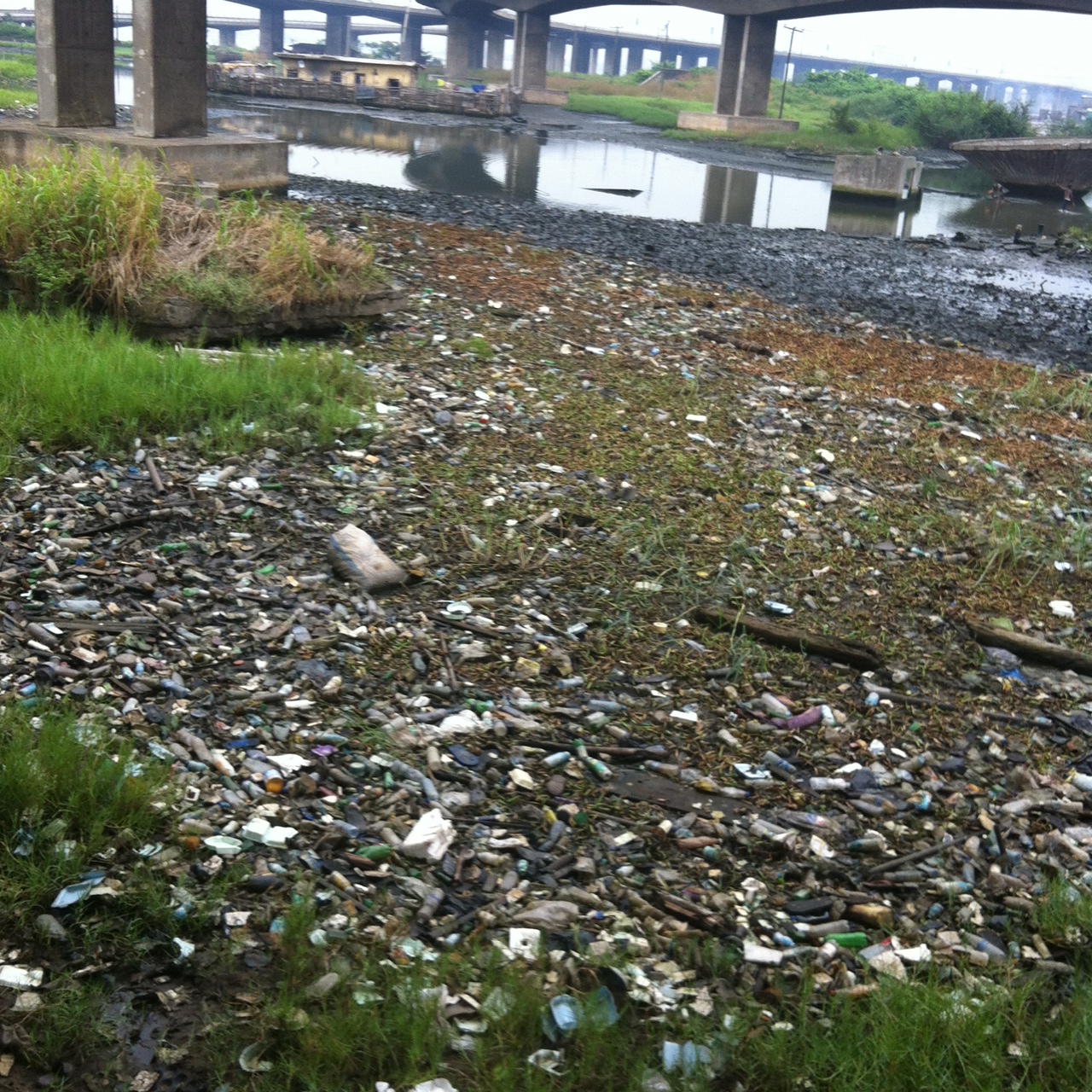 photo 1_4