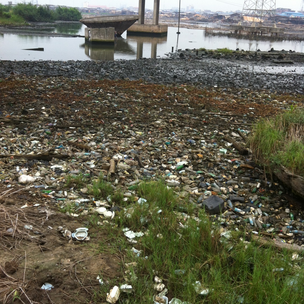 photo 5_4
