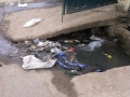 photo 1_2
