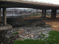 photo (2)