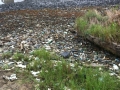photo 4_4